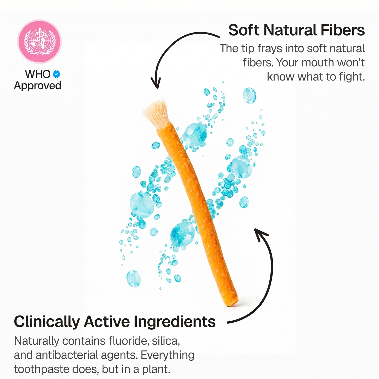 Misra™ Miswak
