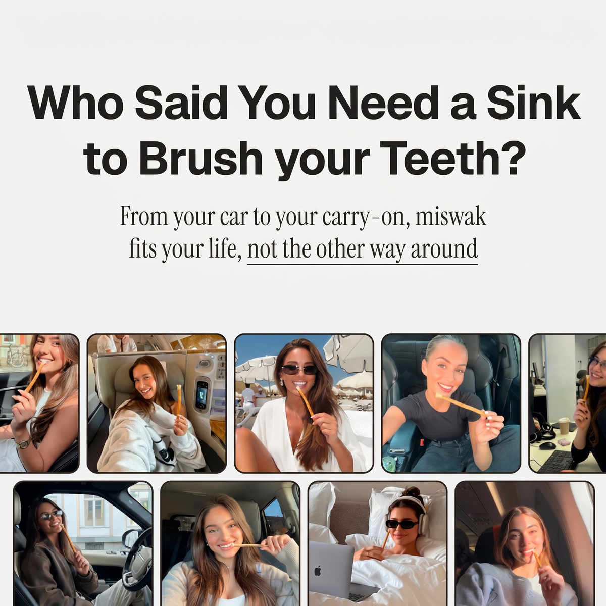 Misra™ Miswak